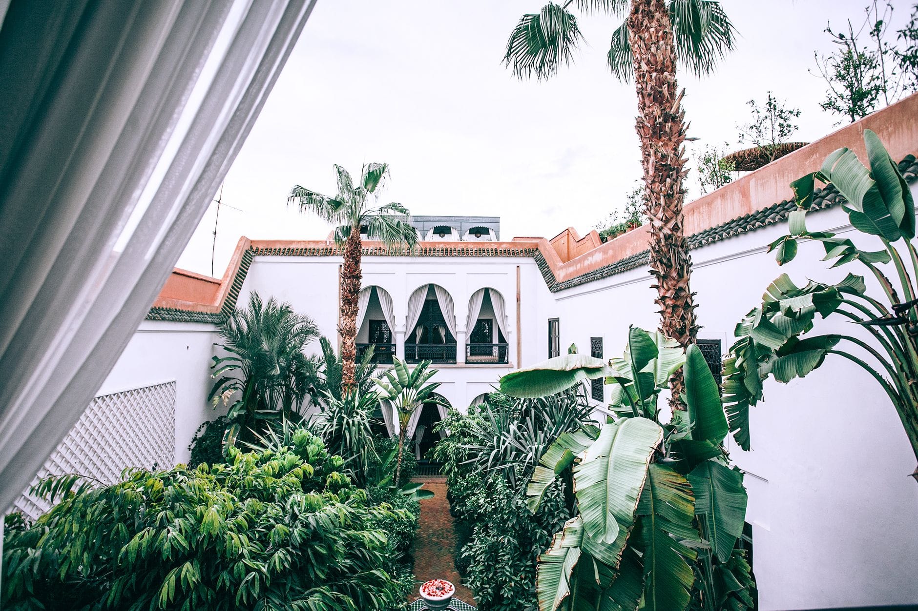Lush landscaped garden surrounding a residential property, featuring mature palm trees, dense greenery, and a white exterior facade.
