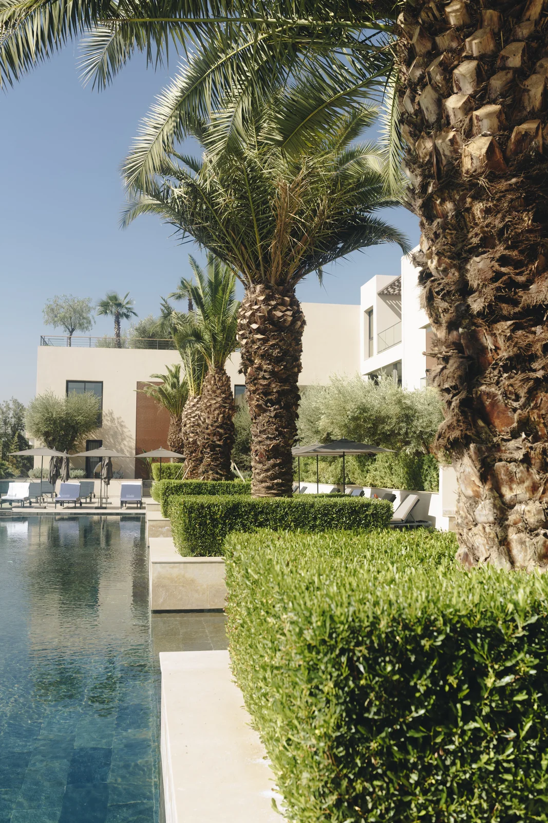 Landscaped shared gardens with palm trees between villas, typical of gated communities